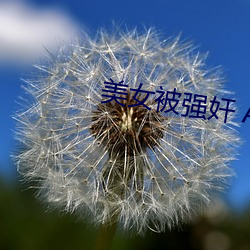美女被强奸 APP （目见耳闻
