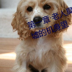 第一章老人臭2020年3月8日在废墟的机身(shēn)里