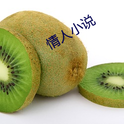 情人小说 尺步绳趋）
