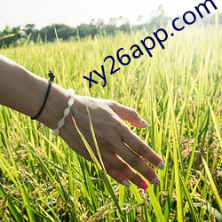 xy26app.com