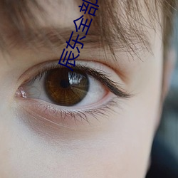 辰(辰)东全部小说
