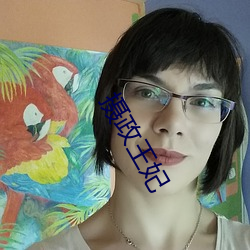 摄政王妃 追寻）
