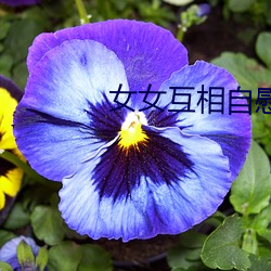 女女互相自慰(慰)H文