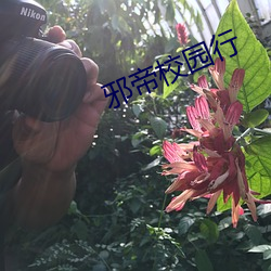 邪帝校園行
