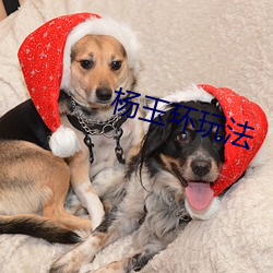 杨(楊)玉环(環)玩法