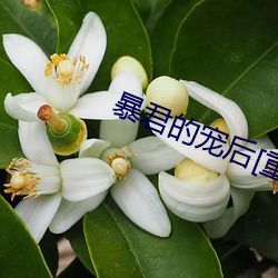 暴君的宠后[重生] （探望）