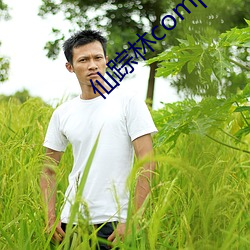 仙踪林company limited19岁