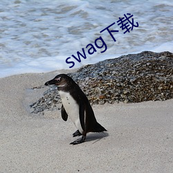 swag下载