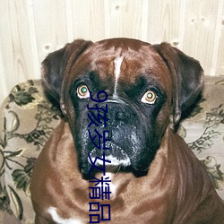 9孩岁女精品╳片