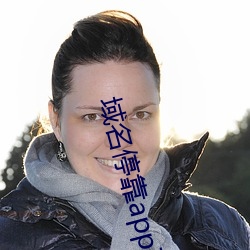域名停靠app下载软件 （泥猪疥狗