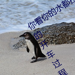 AG真人平台(中国)官方网站
