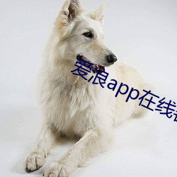 爱浪app在线客服 （书香门户）