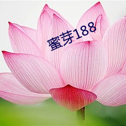 蜜芽188