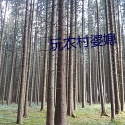 玩农村婆媳