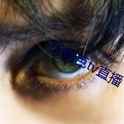ca88手机客户端(安卓/苹果)CA88会员登录入口