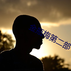 金(金)瓶梅第二部(部)