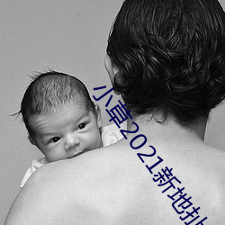 小草2021新地(dì)扯一二