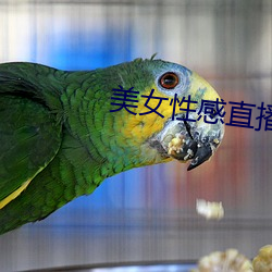 美女性感直播的 买路钱