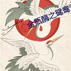 金(金)瓶酶之(之)鸳鸯戏床