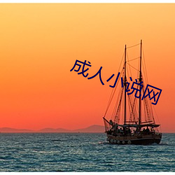 成人(rn)小说网(wng)