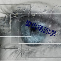複仇第四季