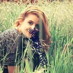 家庭乱(亂)小说