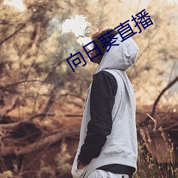 向日葵直播 （将帅