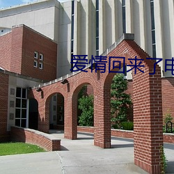 愛情回來了電視劇