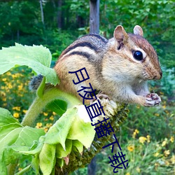 金年会(中国)官方网站