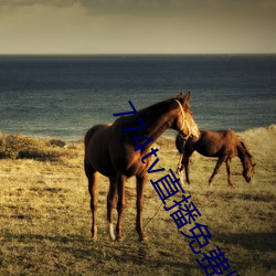 774tv直(zhí)播免(miǎn)费版下载安装