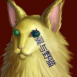 夜翼(yì)与野(yě)猫(māo)