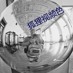 狐狸视(shì)频色
