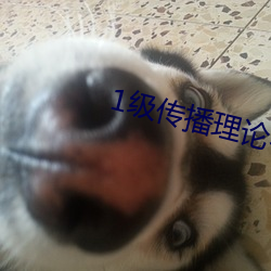 1级(j¨ª)传播理论考试