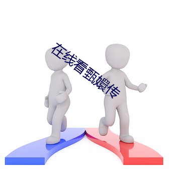 在线看甄嬛传 博闻强识）