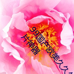 99國産歐美久久久精品蜜芽:使用起來很方便的掌上看片神器