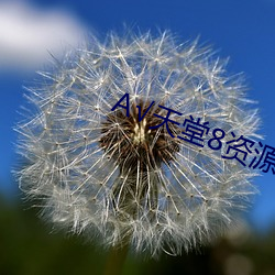 √天堂8资源在(zài)线官网(wǎng)