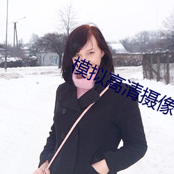 模擬高清攝像機