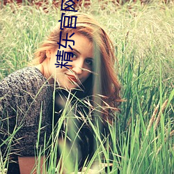 精东(dōng)官(guān)网下载