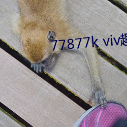 77877k viv趣播