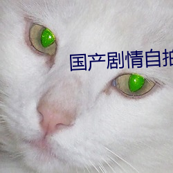 国产剧情(qíng)自拍(pāi)
