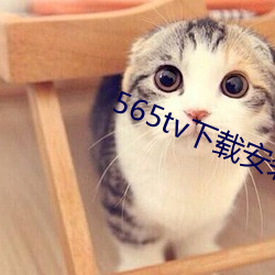 565tv下载安装