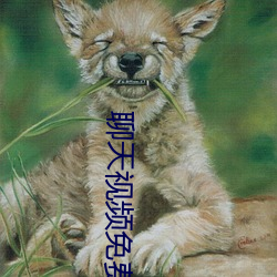聊天视频免费版