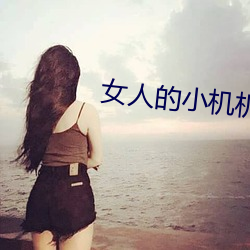 女人的小机机