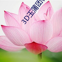 3D玉蒲团在线观看