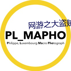 网游之(之)大盗贼