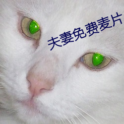 夫妻免费麦片