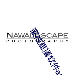 蜜(蜜)柚(柚)直播软件(件)app下载安装