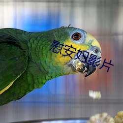 AG真人平台(中国)官方网站