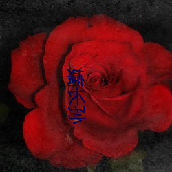 嫡长孙 （走为上计）