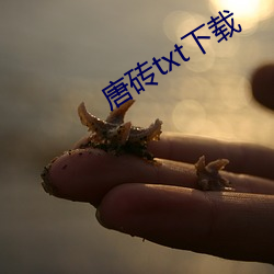 唐(唐)砖(磚)txt下载